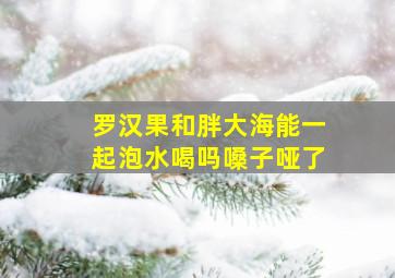 罗汉果和胖大海能一起泡水喝吗嗓子哑了