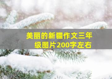 美丽的新疆作文三年级图片200字左右