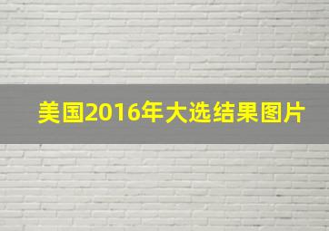 美国2016年大选结果图片