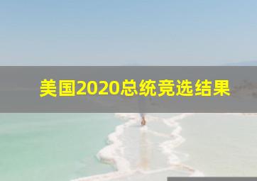 美国2020总统竞选结果