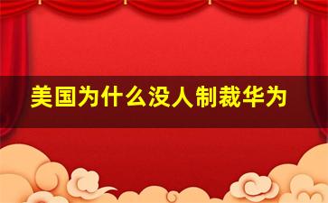 美国为什么没人制裁华为