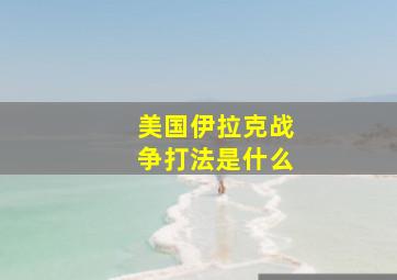 美国伊拉克战争打法是什么