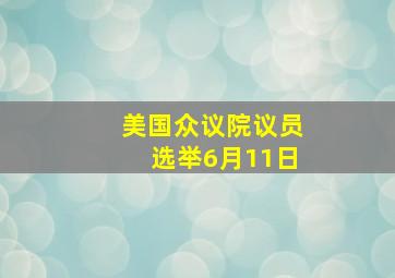 美国众议院议员选举6月11日