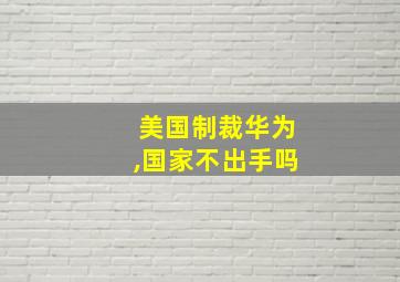 美国制裁华为,国家不出手吗