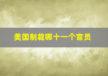 美国制裁哪十一个官员