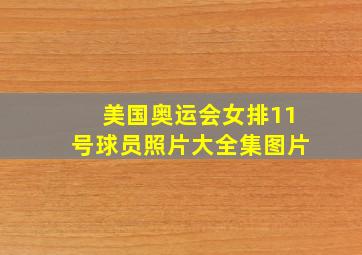 美国奥运会女排11号球员照片大全集图片