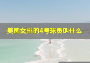 美国女排的4号球员叫什么