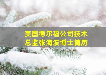 美国德尔福公司技术总监张海波博士简历