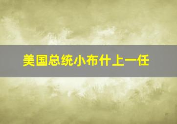 美国总统小布什上一任