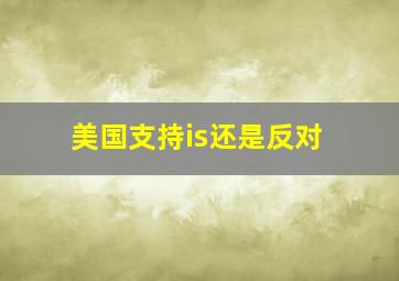 美国支持is还是反对