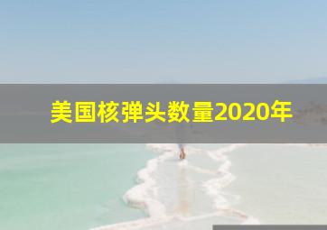 美国核弹头数量2020年