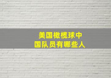 美国橄榄球中国队员有哪些人