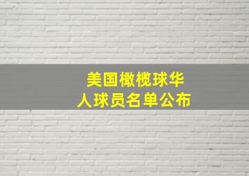 美国橄榄球华人球员名单公布