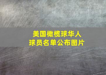 美国橄榄球华人球员名单公布图片