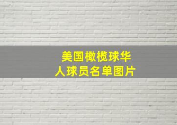 美国橄榄球华人球员名单图片