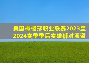 美国橄榄球职业联赛2023至2024赛季季后赛雄狮对海盗