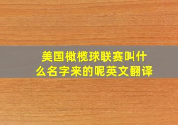 美国橄榄球联赛叫什么名字来的呢英文翻译