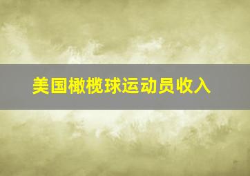 美国橄榄球运动员收入