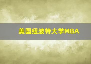 美国纽波特大学MBA