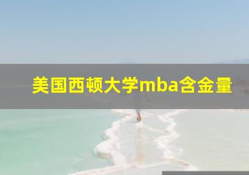 美国西顿大学mba含金量