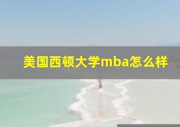 美国西顿大学mba怎么样