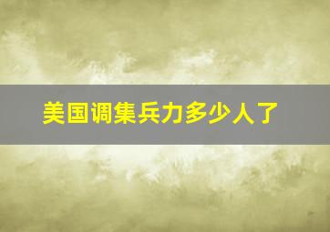 美国调集兵力多少人了