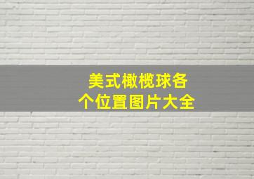 美式橄榄球各个位置图片大全