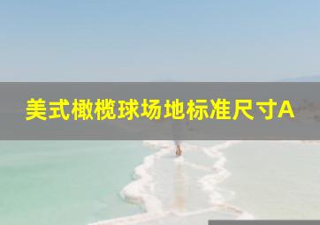 美式橄榄球场地标准尺寸A