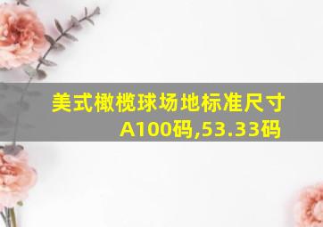 美式橄榄球场地标准尺寸A100码,53.33码