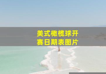 美式橄榄球开赛日期表图片