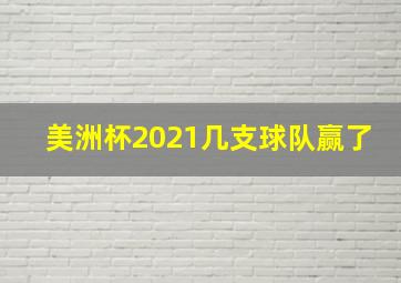 美洲杯2021几支球队赢了