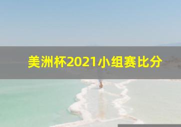 美洲杯2021小组赛比分