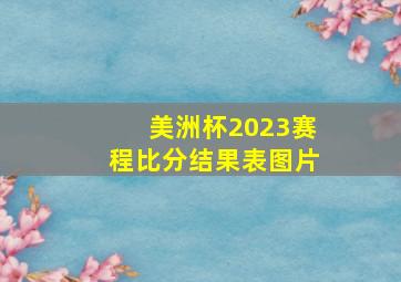 美洲杯2023赛程比分结果表图片