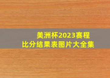 美洲杯2023赛程比分结果表图片大全集