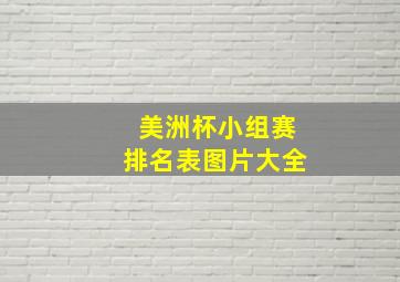 美洲杯小组赛排名表图片大全