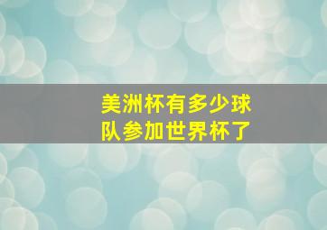 美洲杯有多少球队参加世界杯了