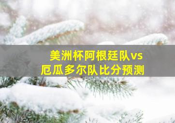 美洲杯阿根廷队vs厄瓜多尔队比分预测