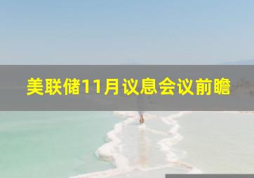 美联储11月议息会议前瞻