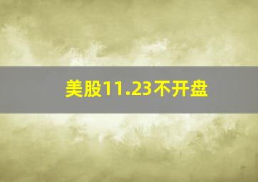 美股11.23不开盘