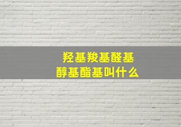 羟基羧基醛基醇基酯基叫什么