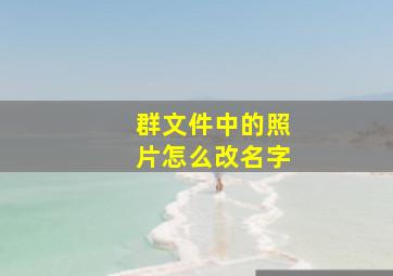 群文件中的照片怎么改名字