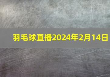 羽毛球直播2024年2月14日