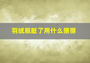 羽绒服脏了用什么擦擦