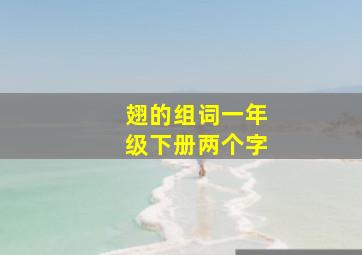 翅的组词一年级下册两个字