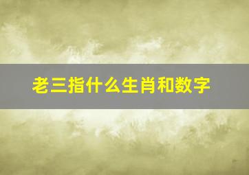 老三指什么生肖和数字