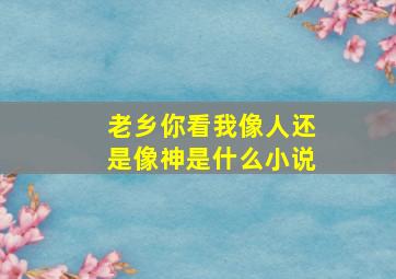 老乡你看我像人还是像神是什么小说