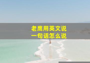 老鹰用英文说一句话怎么说