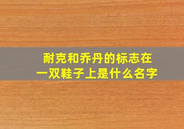 耐克和乔丹的标志在一双鞋子上是什么名字