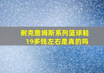 耐克詹姆斯系列篮球鞋19多钱左右是真的吗