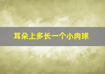 耳朵上多长一个小肉球